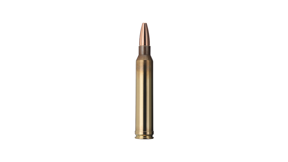 GECO .300 Win. Mag. PLUS 11,0g/170gr