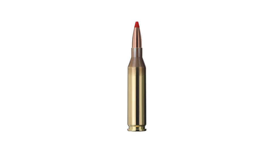 GECO .243 Win. EXPRESS 4,9g/76gr