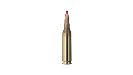 GECO .243 Win. EXPRESS 4,9g/76gr
