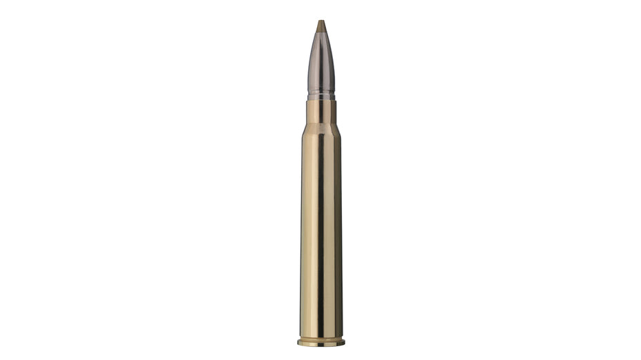 RWS .30 R BLASER EVOLUTION GREEN 9,0g/139gr