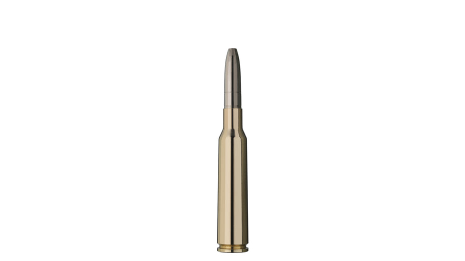 RWS 6,5x55 SE EVOLUTION 10,1g/156gr