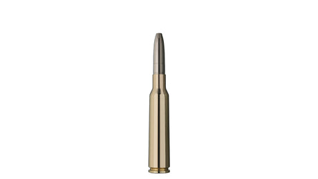 RWS 6,5x55 SE EVOLUTION 10,1g/156gr