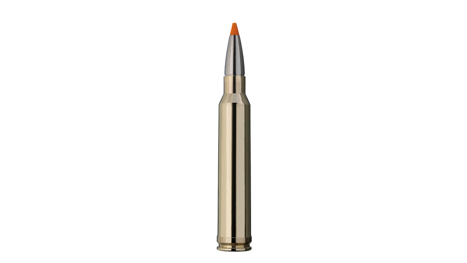 RWS .300 Win. Mag. HIT 10,7g/165gr