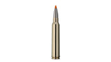 RWS .300 Win. Mag. HIT 10,7g/165gr