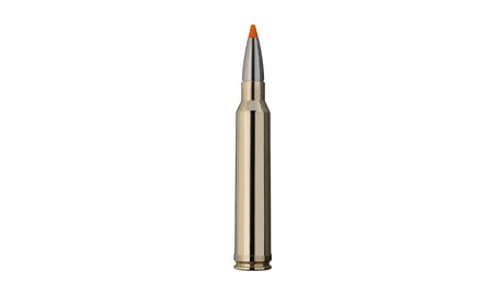RWS .300 Win. Mag. HIT 10,7g/165gr