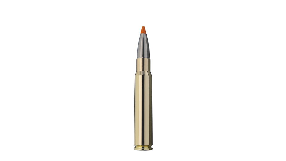 RWS 8x57 JS HIT 10,4g/160gr