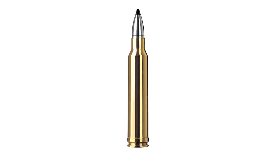 RWS .300 Win. Mag. SPEED TIP PROFESSIONAL 10,7g/165gr