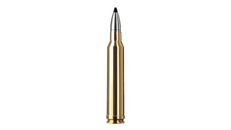 RWS .300 Win. Mag. SPEED TIP PROFESSIONAL 10,7g/165gr