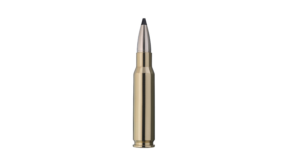 RWS .308 Win. SPEED TIP PROFESSIONAL 10,7g/165gr