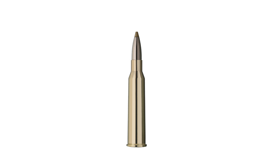 RWS 6,5x57 R EVOLUTION GREEN 6,0g/93gr