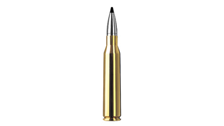 RWS .338 Lapua Magnum SPEED TIP PROFESSIONAL 16,2g/250gr