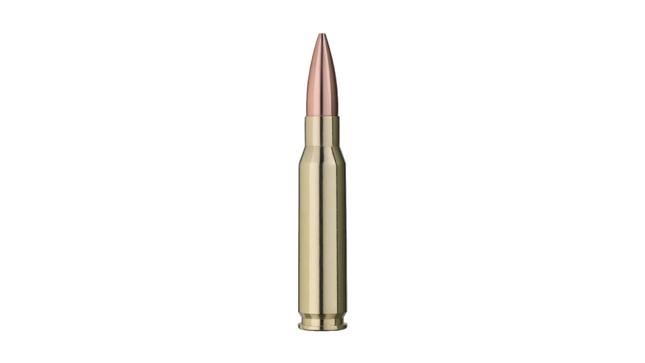 RWS .308 Win. TARGET ELITE PLUS 10,9g/168gr