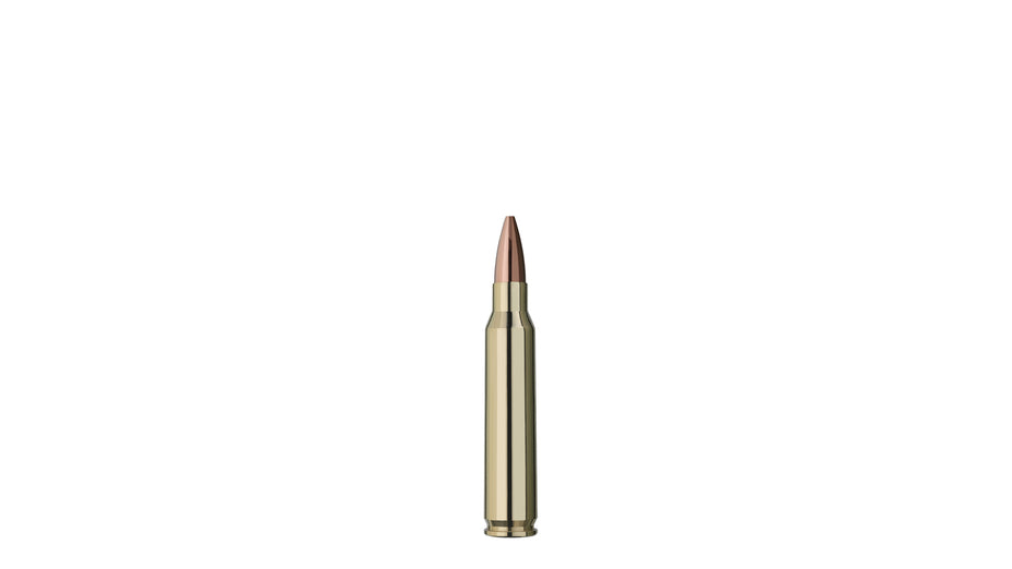 RWS .223 Rem. TARGET ELITE PLUS 5,0g/77gr