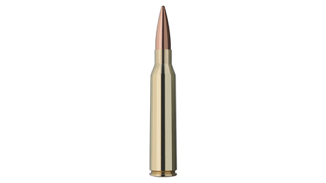 RWS .338 Lapua Mag. TARGET ELITE PLUS 19,4g/300gr