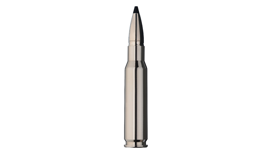 RWS .308 Win. SPEED TIP PROFESSIONAL Short Rifle 10,7g/165gr