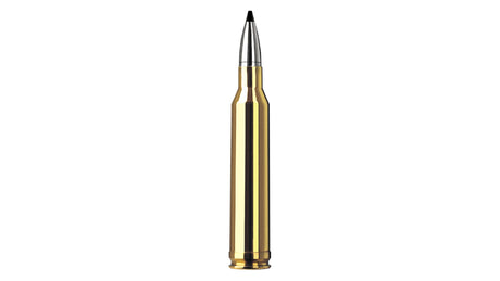 RWS 7mm Rem. Mag. SPEED TIP PROFESSIONAL 9,7g/150gr