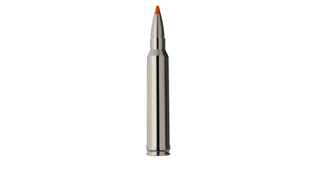 RWS .300 Win. Mag. HIT Short Rifle 10,7g/165gr