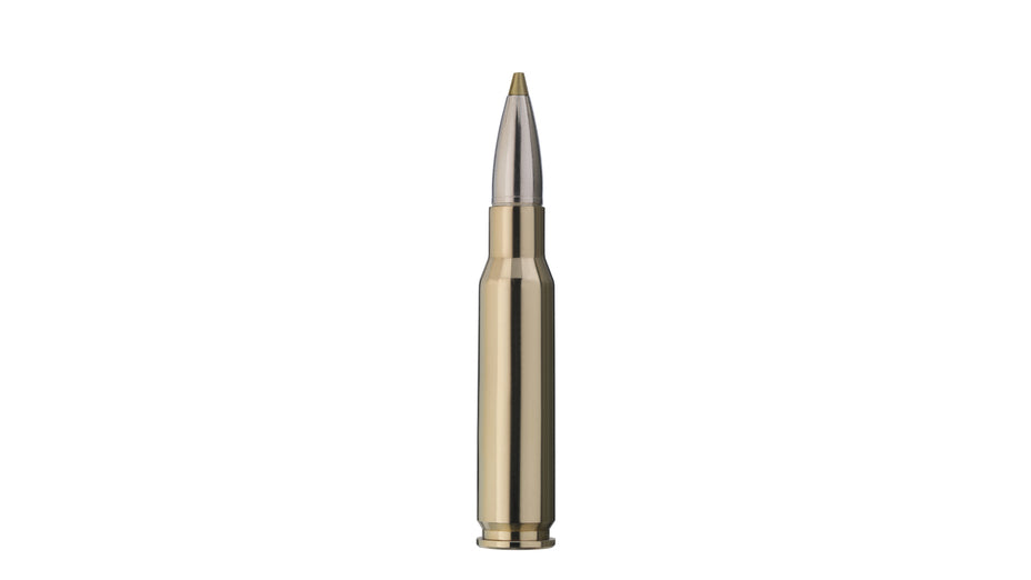 RWS .308 Win. EVOLUTION GREEN 9,0g/139gr