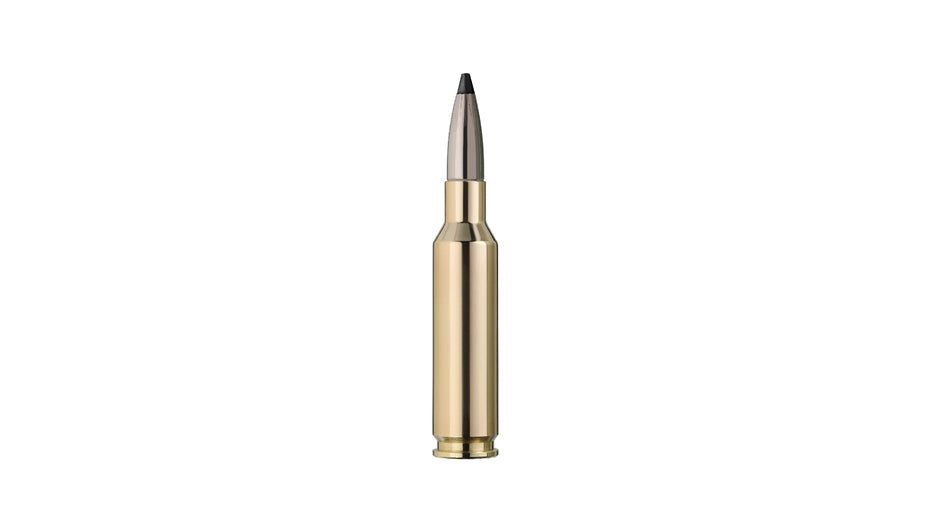 RWS 6,5 Creedmoor SPEED TIP PROFESSIONAL 9,1g/140gr