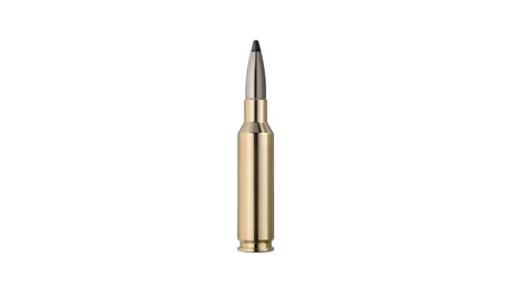 RWS 6,5 Creedmoor SPEED TIP PROFESSIONAL 9,1g/140gr