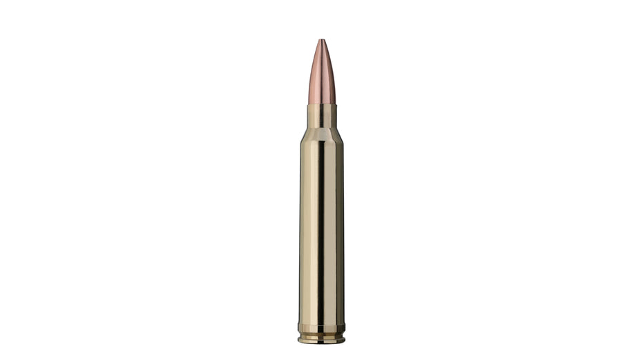 RWS .300 Win. Mag. TARGET ELITE PLUS 11,3g/175gr