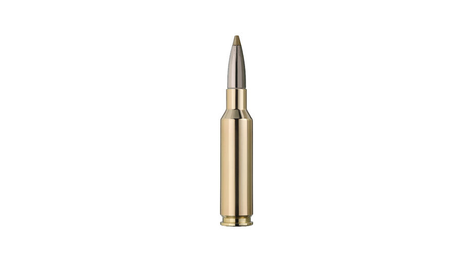 RWS 6,5 Creedmoor EVOLUTION GREEN 6,0g/93gr