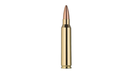 RWS .223 Rem. TARGET ELITE PLUS 4,5g/69gr