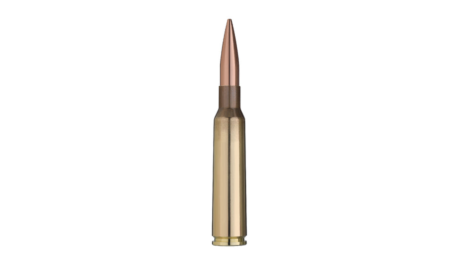 GECO 6,5x55 SE TARGET HP 8,4g/130gr