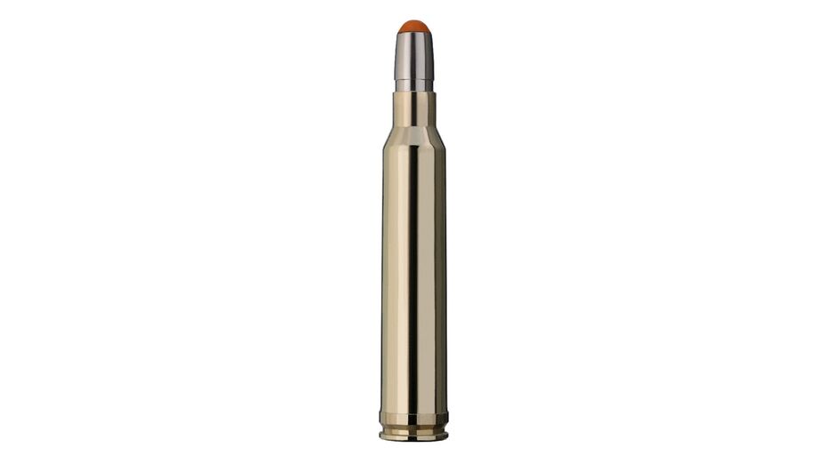 RWS .300 Win. Mag. DRIVEN HUNT 10,7g/165gr