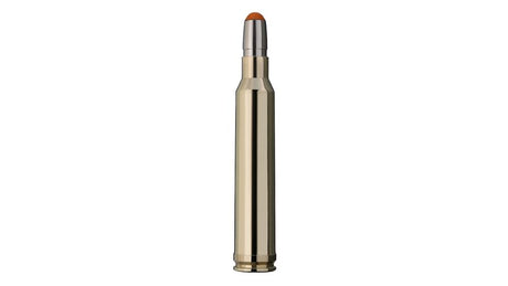 RWS .300 Win. Mag. DRIVEN HUNT 10,7g/165gr