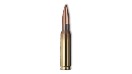 GECO .308 Win. TARGET HP 10,9g/168gr