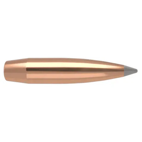 Geschosse Nosler ABLR 6,5mm, dia .264, 129grs