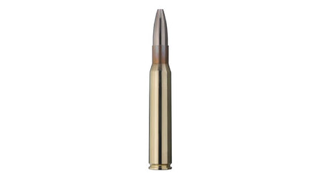 RWS .30-06 CINESHOT 9,5g/147gr