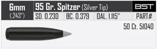 Geschosse Nosler Ballistic Silvertip 6mm, dia .243, 95grs