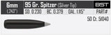 Geschosse Nosler Ballistic Silvertip 6mm, dia .243, 95grs
