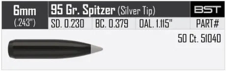 Geschosse Nosler Ballistic Silvertip 6mm, dia .243, 95grs