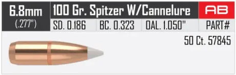Geschosse Nosler AccuBond .270 cal, dia .277, 100grs