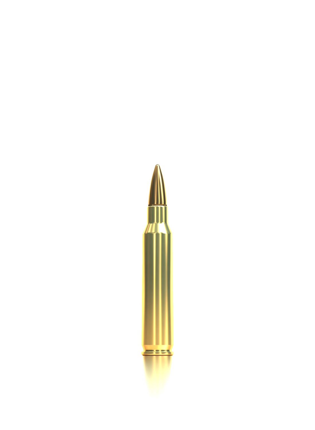 Sellier & Bellot Büchsenmunition .223 Rem 3,6g Full Metal Jacket