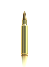 Sellier & Bellot Büchsenmunition Precision Ammo .300 Win. Mag. 10,9g Hollow Point Boat Tail