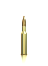 Sellier & Bellot Büchsenmunition 7,62 x 54 R 11,7g Full Metal Jacket