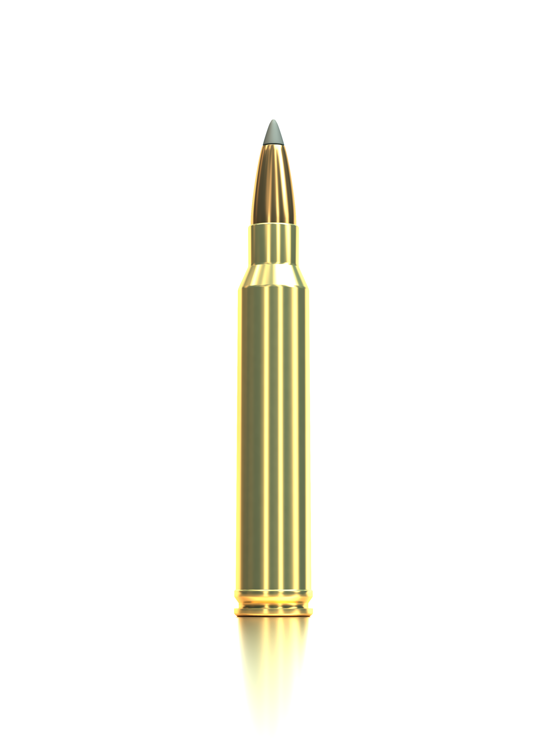 Sellier & Bellot Büchsenmunition .300 Win. Mag. 12,96g Sierra Gameking Boat Tail Soft Point