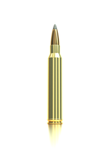 Sellier & Bellot Büchsenmunition .300 Win. Mag. 12,96g Sierra Gameking Boat Tail Soft Point