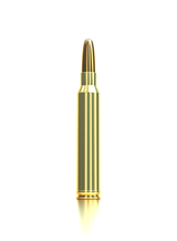 Sellier & Bellot Büchsenmunition .300 Win. Mag. 11,7g eXergy