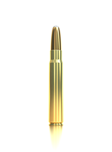 Sellier & Bellot Büchsenmunition 9,3 x 62 16,2g eXergy