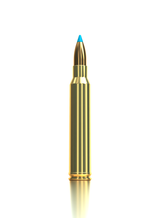 Sellier & Bellot Büchsenmunition .300 Win. Mag. 11,7g Tipped eXergy eXergy Blue