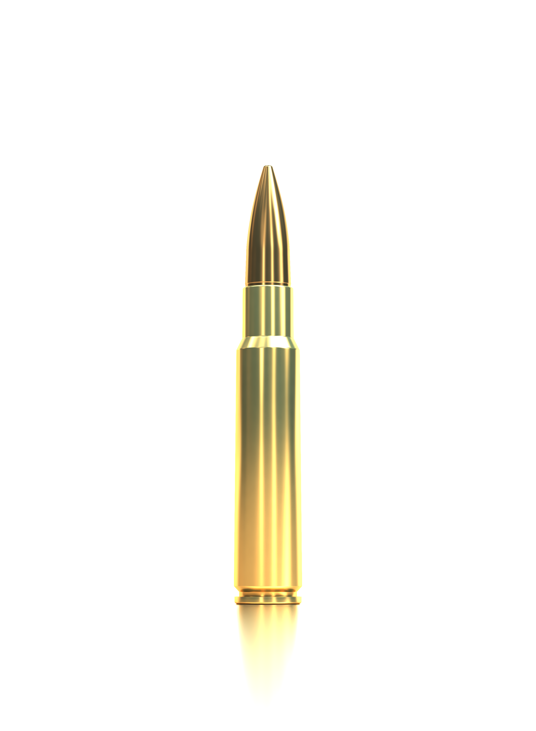 Sellier & Bellot Büchsenmunition 7,5 x 55 Suisse 11,3g Full Metal Jacket Schüttpackung mit 50 St