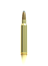 Sellier & Bellot Büchsenmunition .300 Win. Mag. 11,7g Soft Point Cutting Edge Schüttpackung mit
