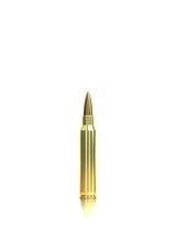 Sellier & Bellot Büchsenmunition Precision Ammo .223 Rem 5g Hollow Point Boat Tail