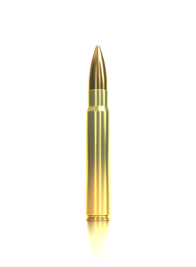 Sellier & Bellot Büchsenmunition 8 x 57 IRS 11,7g Tipped eXergy eXergy Blue