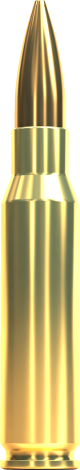 Sellier & Bellot Büchsenmunition Precision Ammo 6,5 x 55 SE 9,2g Hollow Point Boat Tail